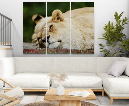 Printed canvas · High quality · Lioness · Wall art