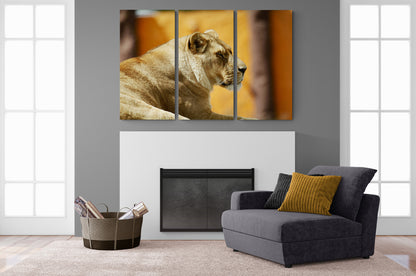 Printed canvas · High quality · Lion · Wall art