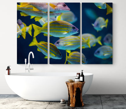 Printed canvas · High quality · Fish · Wall art