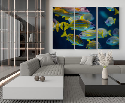 Printed canvas · High quality · Fish · Wall art