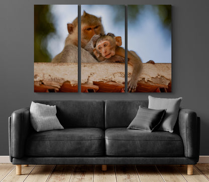 Printed canvas · High quality · Monkeys · Wall art