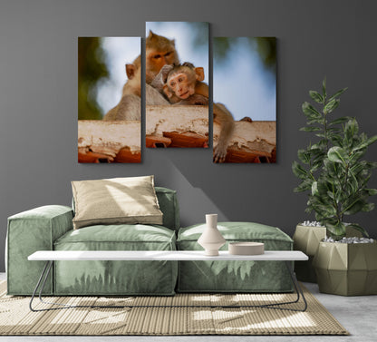 Printed canvas · High quality · Monkeys · Wall art