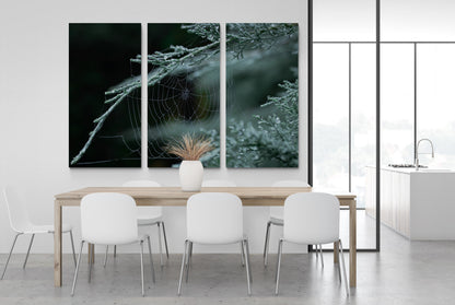 Printed canvas · High quality · Spider web · Forest · Wall art