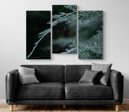 Printed canvas · High quality · Spider web · Forest · Wall art