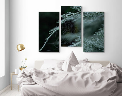 Printed canvas · High quality · Spider web · Forest · Wall art