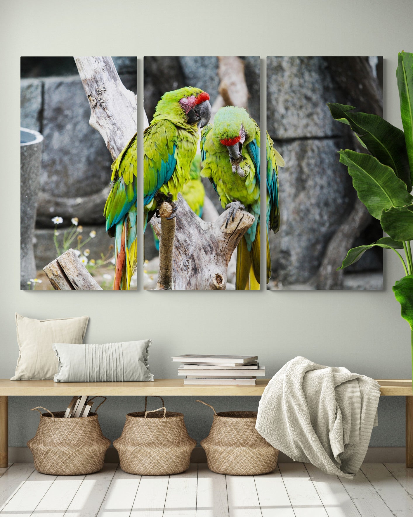 Printed canvas · High quality · Parrots · Wall art