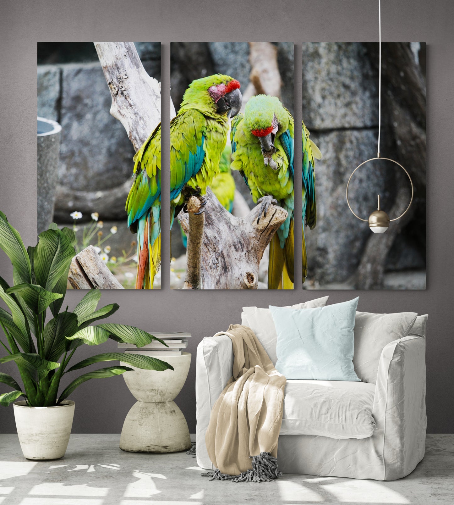 Printed canvas · High quality · Parrots · Wall art