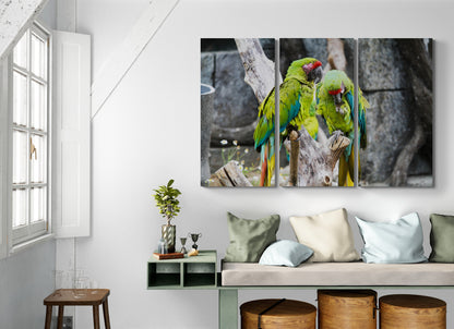 Printed canvas · High quality · Parrots · Wall art