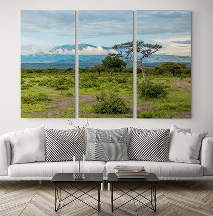 Printed canvas · High quality · African savannah · Wall art