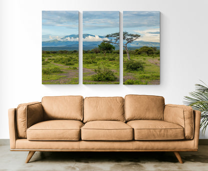 Printed canvas · High quality · African savannah · Wall art