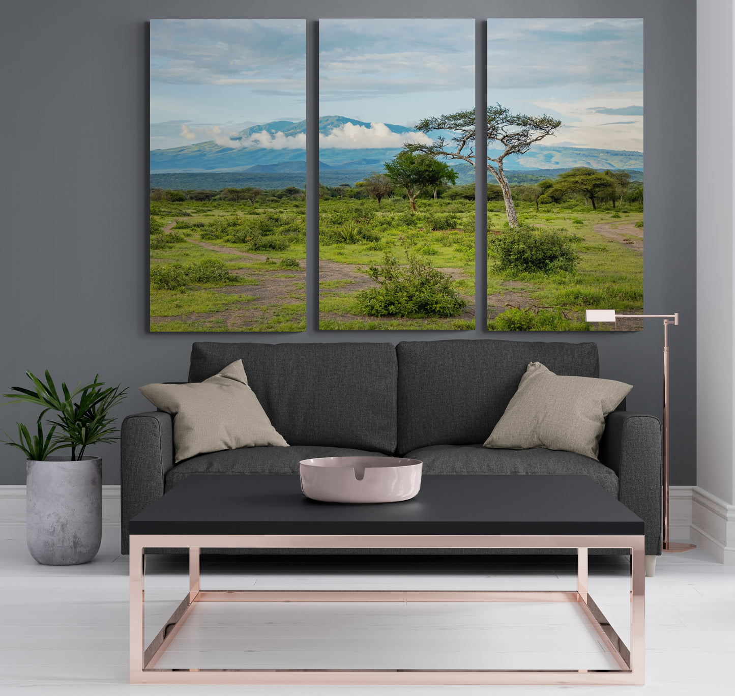 Printed canvas · High quality · African savannah · Wall art