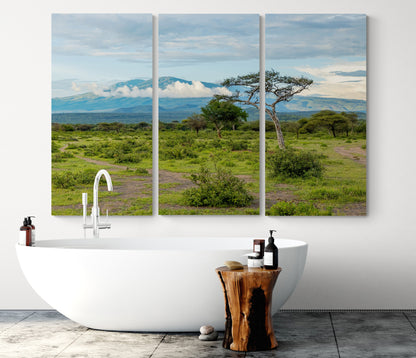 Printed canvas · High quality · African savannah · Wall art