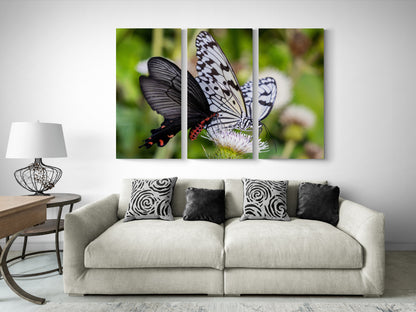 Printed canvas · High quality · Butterflies · Wall art