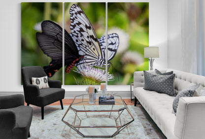 Printed canvas · High quality · Butterflies · Wall art