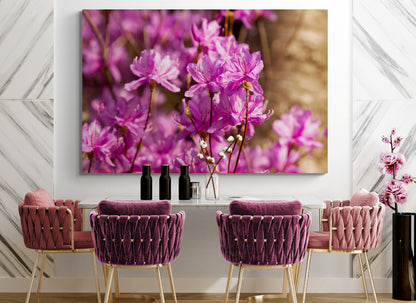 Printed canvas · High quality · Pink flowers · Wall art