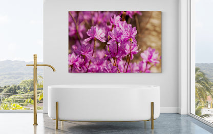 Printed canvas · High quality · Pink flowers · Wall art