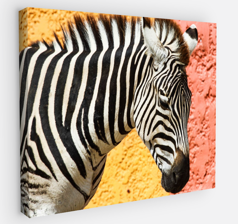 Printed canvas · High quality · Zebra · Wall art