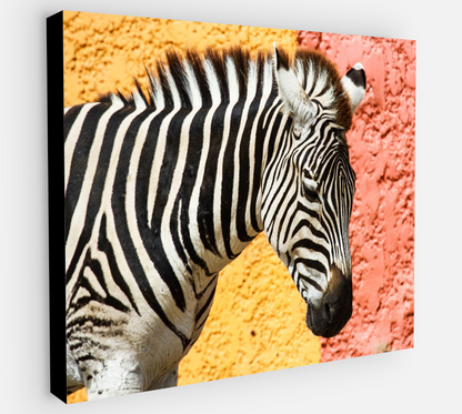 Printed canvas · High quality · Zebra · Wall art